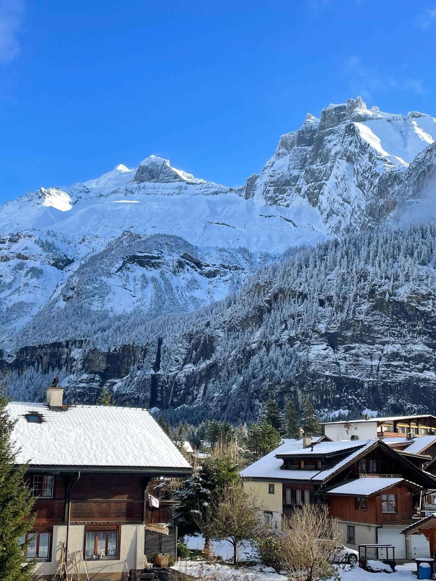 Swiss Alps Lodge Kandersteg Ngoại thất bức ảnh